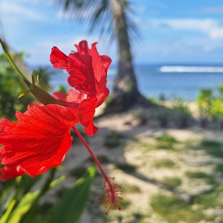 Bamboo Surf Beach San Isidro  Экстерьер фото