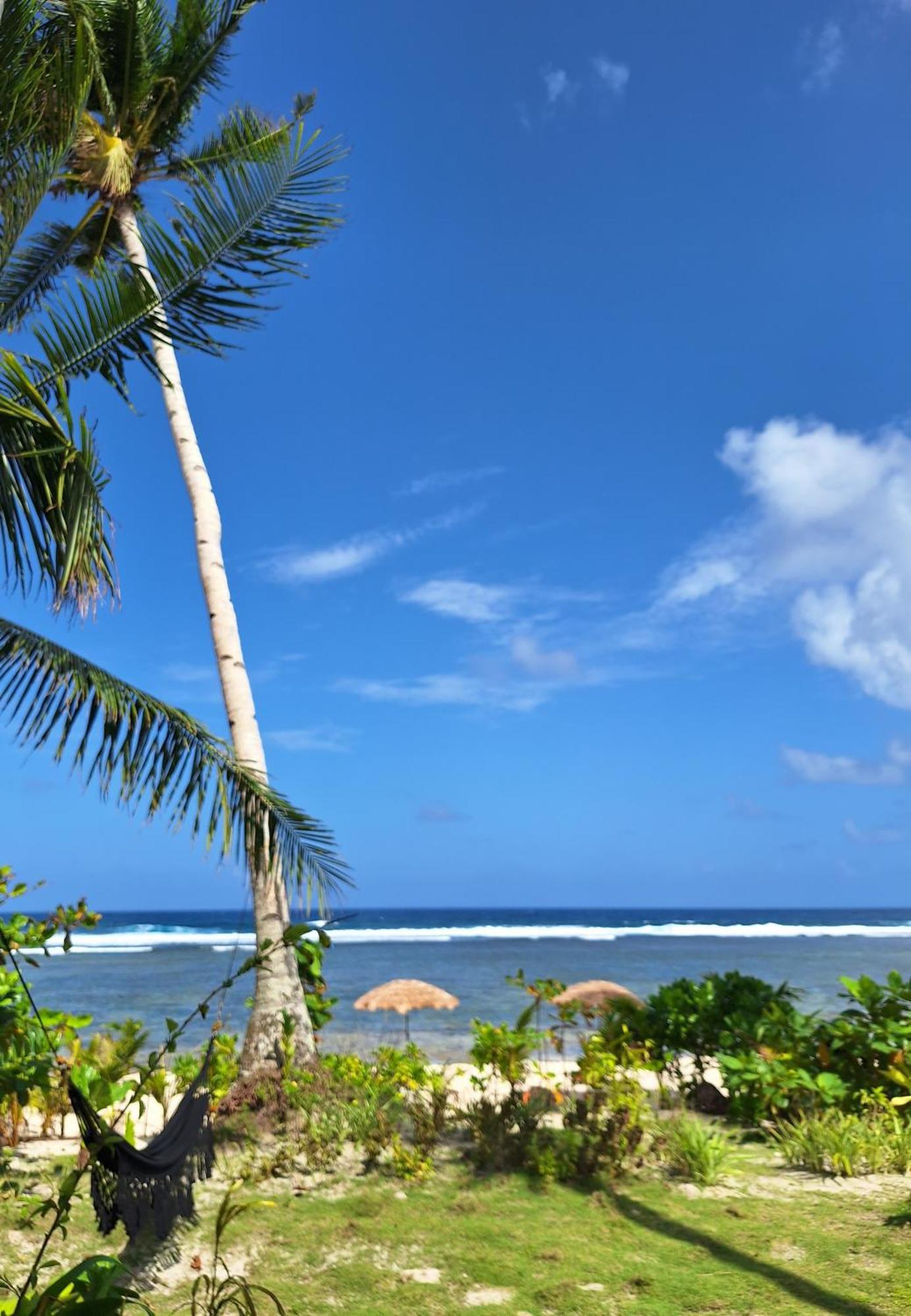 Bamboo Surf Beach San Isidro  Экстерьер фото